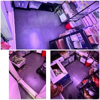 Deep Commercial Cleaning