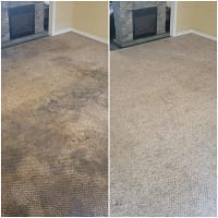 The Expert Cleaner